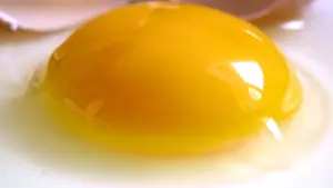 A fresh cracked raw egg resting on a clean surface with a prominent intact golden yolk and clear egg white.