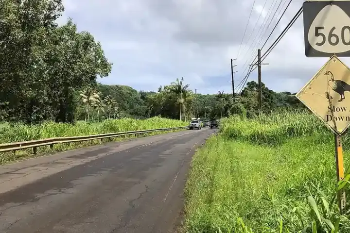 Hawaii State Route 560 running through the Hanalei Valley near the Hanalei River bridge, surrounded by steep green mountain peaks.