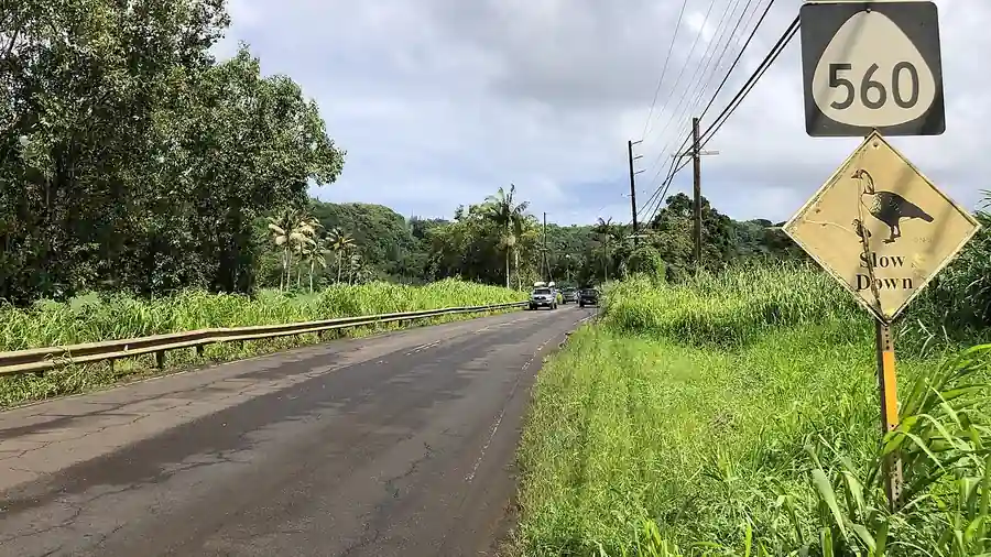 Hawaii State Route 560 running through the Hanalei Valley near the Hanalei River bridge, surrounded by steep green mountain peaks.