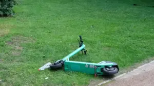 Green e-scooter lying beside a paved park path, showing a personal mobility device without visible branding