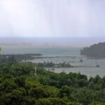 Rain over forest in the Great Nicobar Biosphere Reserve