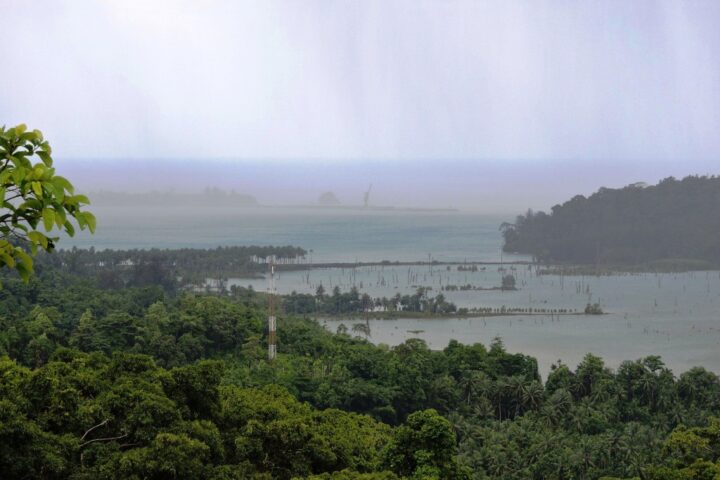 Rain over forest in the Great Nicobar Biosphere Reserve