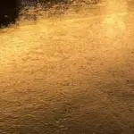 Rainy night street in Dubai during El Nino weather event