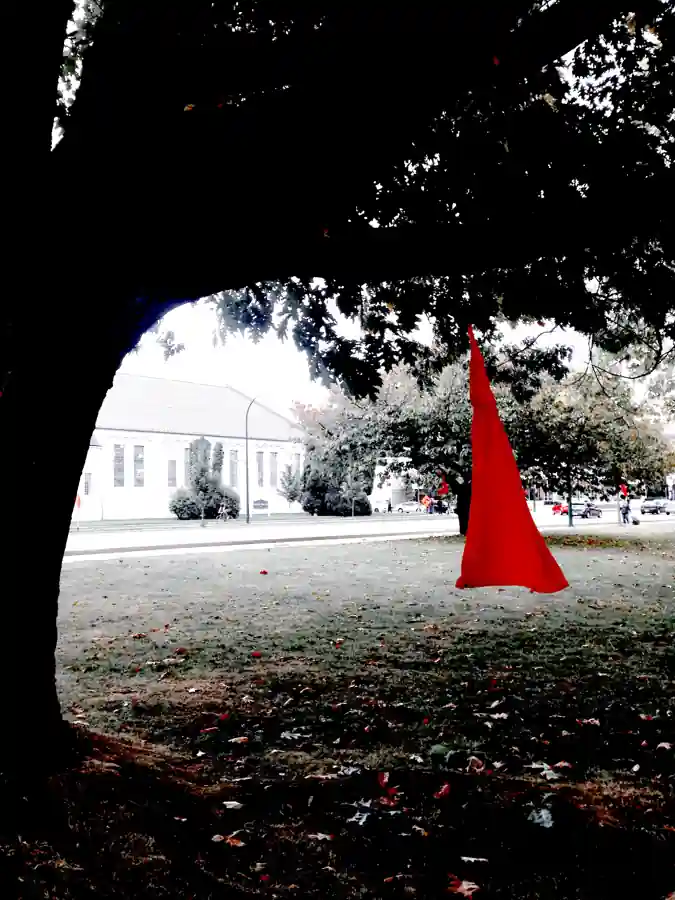 Red dress installation raising awareness of missing and murdered Indigenous women