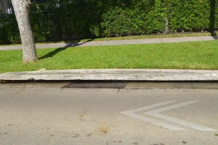 Street at high tide with water pooling around storm drains in a Miami Beach neighborhood during king tide