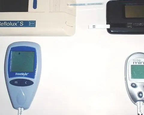 Several handheld blood glucose meters used for point-of-care testing