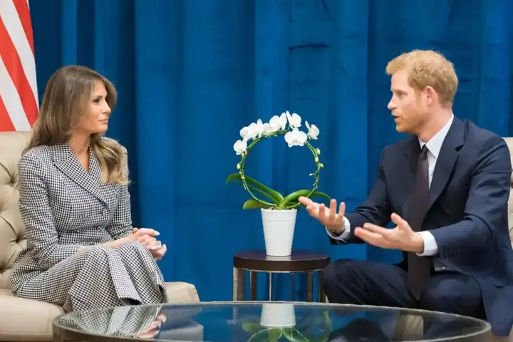 Prince Harry speaks during a formal seated meeting with US and UK flags in the background.
