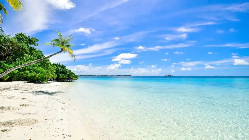 A tropical coastline and open ocean in the South Pacific region.