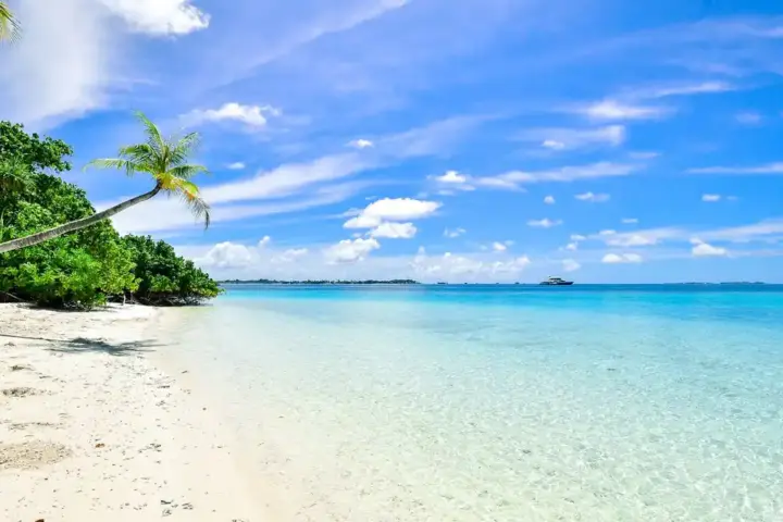 A tropical coastline and open ocean in the South Pacific region.