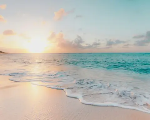 Pacific island coastline