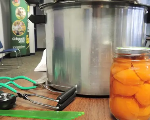 Open cans of peaches alongside canning supplies on a table.