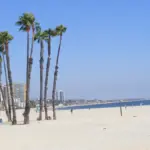 Coastal ocean waters, sandy beach, and urban boardwalk fortifications along the Long Beach shoreline in Southern California.
