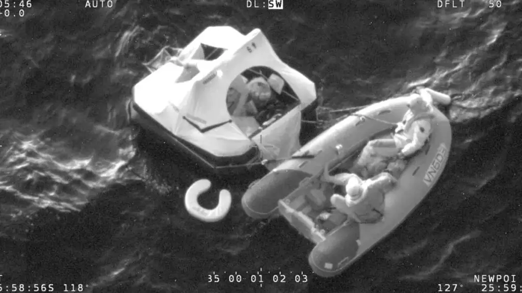 Sperm whale photographed in open water for a yacht rescue story