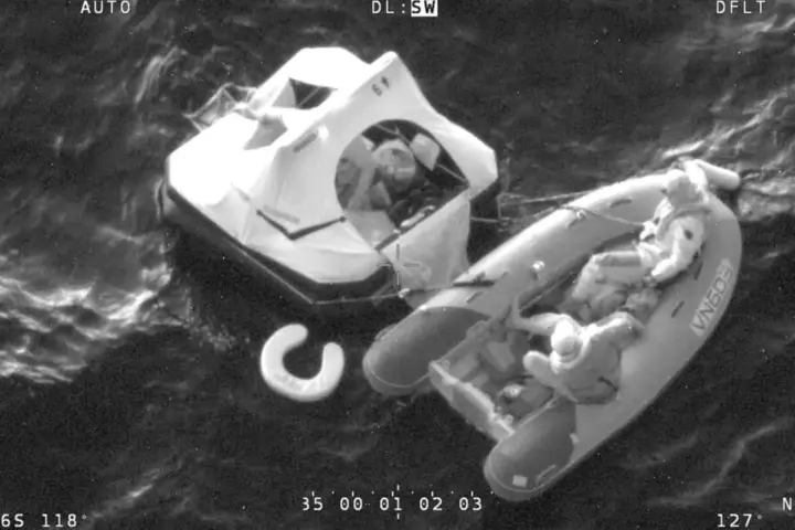 Sperm whale photographed in open water for a yacht rescue story