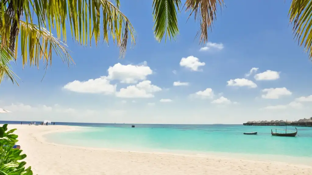 Sun protection context for bemotrizinol sunscreen coverage