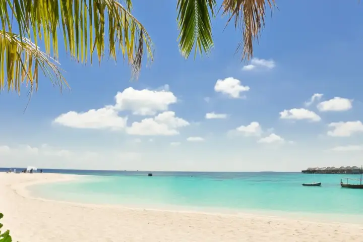 Sun protection context for bemotrizinol sunscreen coverage