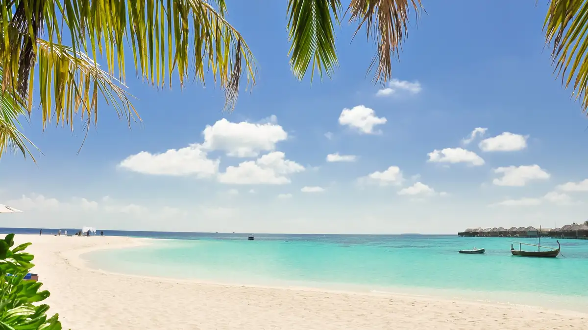 Sun protection context for bemotrizinol sunscreen coverage