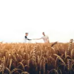A crop field used as an illustrative image for England precision-breeding rules