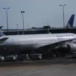 A United Airlines aircraft parked at an airport gate.