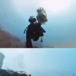 Diver underwater holding a handful of recovered wet wipes, from an Instagram reel.