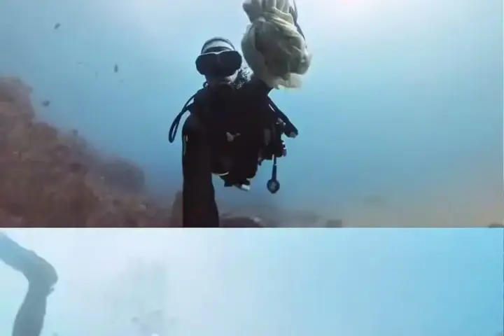 Diver underwater holding a handful of recovered wet wipes, from an Instagram reel.