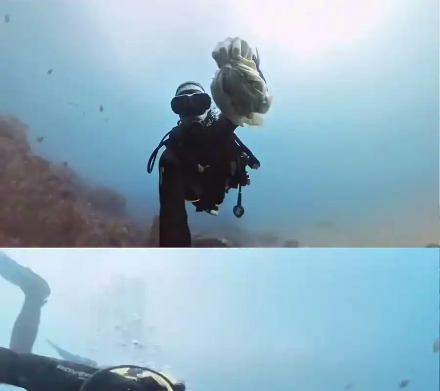 Diver underwater holding a handful of recovered wet wipes, from an Instagram reel.