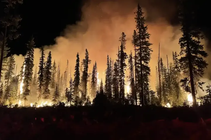 A wildfire burning at night in a national forest.